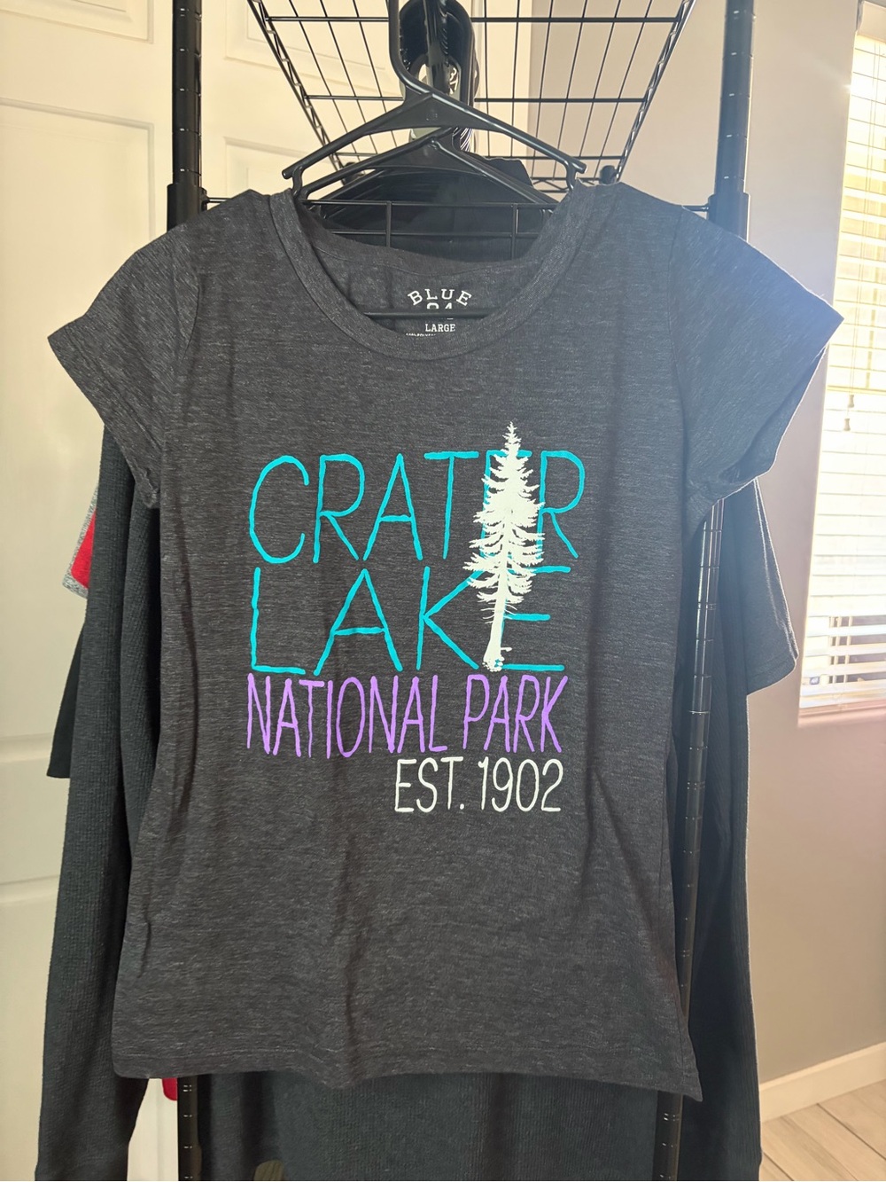 Blue 84 Charcoal Crater Lake National Park Tee with Teal, Purple, White